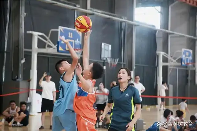 如何评估篮球夏令营的质量和效果?